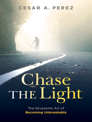 cover image of Chase the Light